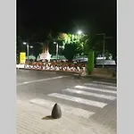 Moderno Departamento En Inmejorable Ubicacion Con Estacionamiento Opcional